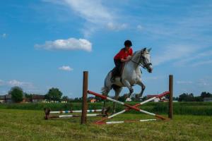 Utrinki iz 2. mednarodnega srečanja kočij in kočijažev na Grabah (8.5.2016) 7